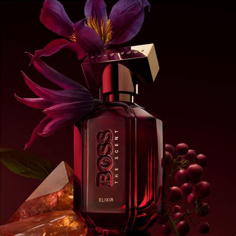 Buy Hugo Boss The Scent for Her Elixir Parfum Intense 50ml Online at ...