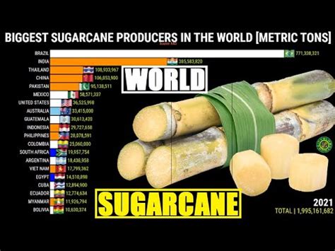 Os Maiores Produtores De Cana De A Ucar Do Mundo Geografia Total