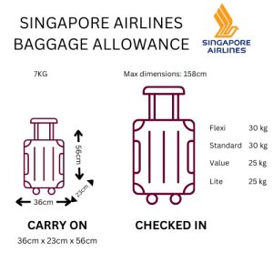 Understanding Singapore Airlines Baggage Allowances Everything You