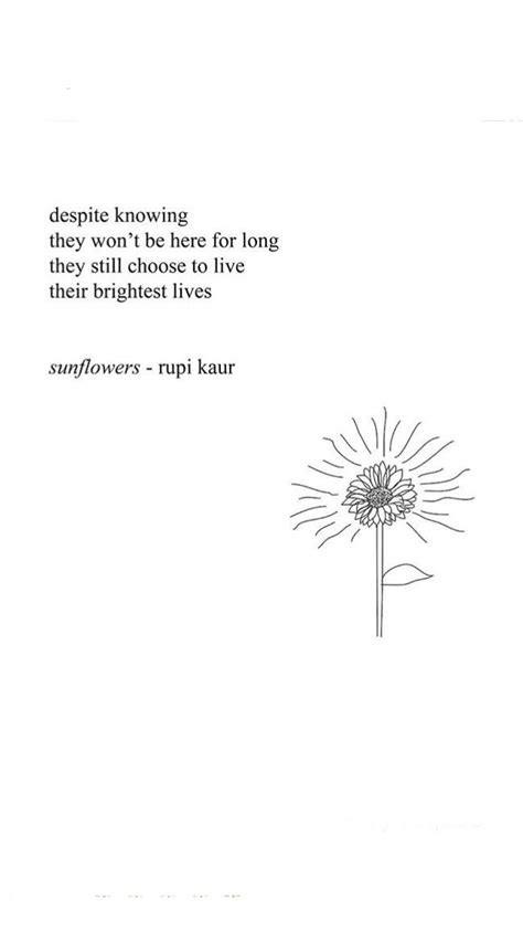 Sunflowers Rupi Kaur Rupi Kaur Quotes Pretty Words Words Quotes