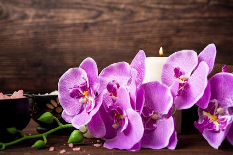 Thai Spa Treatments Aroma Therapy Salt And Nature Sugar Scrub Massage With Orchid Flower Stock