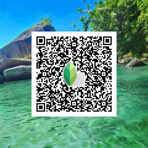 The Best Snapseed Qr Codes Presets Gridfiti Snapseed Snapseed