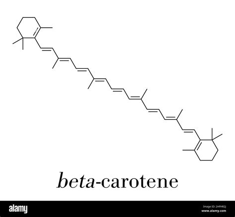 Beta-carotene pigment molecule. Skeletal formula Stock Vector Image & Art - Alamy