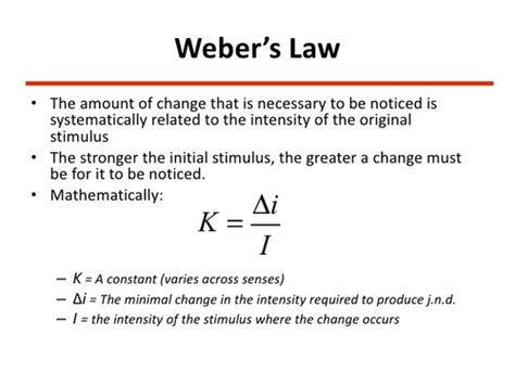 Psych 253 Exam 1 Flashcards Quizlet