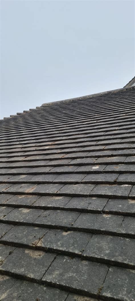 Roof Cleaning And Treatment Ecoclean Services
