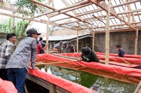 Ciptakan Lapangan Kerja Pertamina Gelar Pelatihan Budidaya Ikan Lele