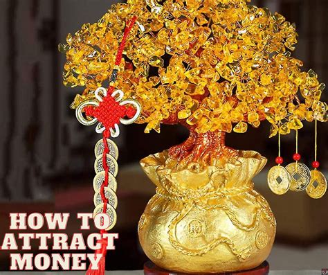 Incorporating Feng Shui Money Tree into Your Life for Prosperity and ...