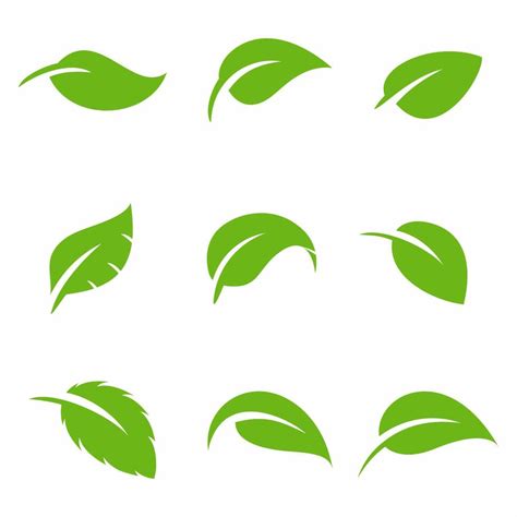 leaf logo vector template illustration 42408703 Vector Art at Vecteezy