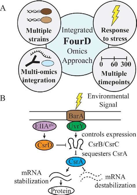 Figure 1 From Integrative Fourd Omics Approach Profiles The Target