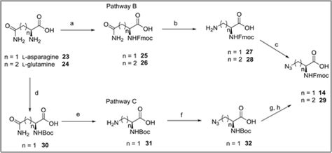 Optimized Syntheses Of Fmoc Azido Amino Acids For The Preparation Of