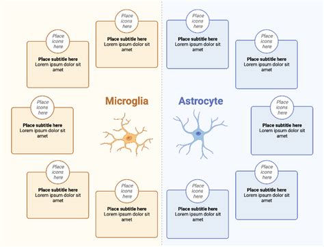 Astrocyte Vs Microglia Comparison Layout Biorender Science Templates