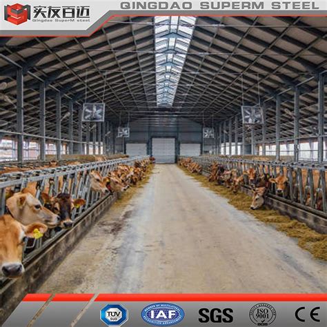 Modern Layout Professional Design Dairy Farm Construction Livestock