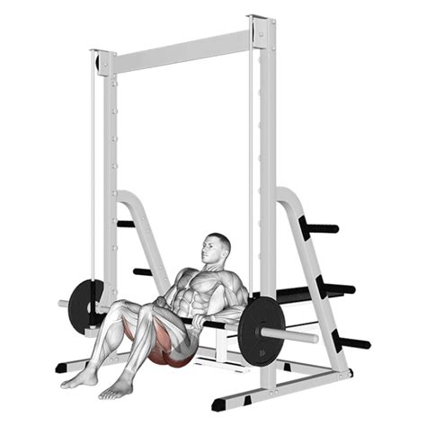 Hip Thrust La Smith Machine Comment Et Pourquoi Faire Le Hip Thrust