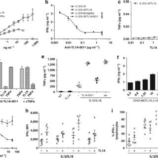 Tumor Necrosis Factor Tnf Like Cytokine A Tl A Induces