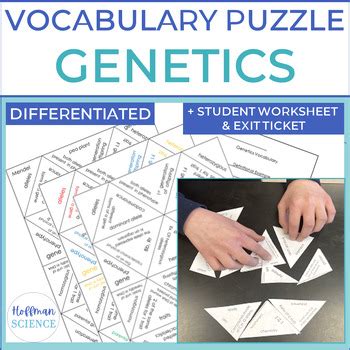 Genetics Hands On Vocabulary Activity Tarsia Puzzle By Hoffman Science