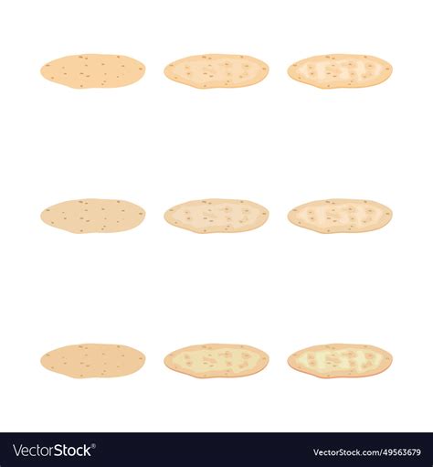 Pita bread Royalty Free Vector Image - VectorStock