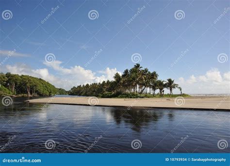 Islands in the Stream stock photo. Image of coconut, trees - 10793934