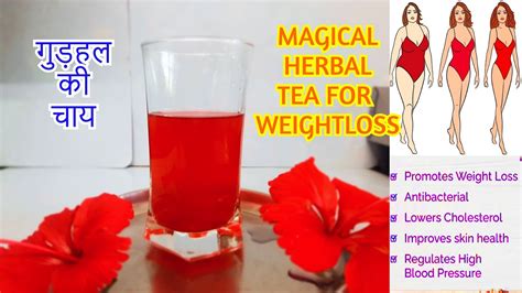 Hibiscus Tea For Weightloss Herbal Tea For Thyroid And Glowing Skin गुड़हल की चाय के फायदे