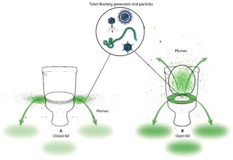 Should You Flush With Toilet Lid Up Or Down Study Says It Doesnt