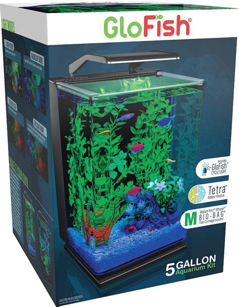 Best Fish Tank For Kids 5 Great Aquariums For Children