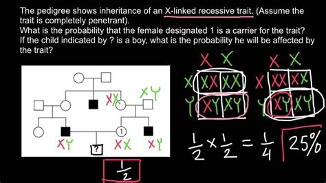 How To Solve Pedigree Problems Easily Youtube