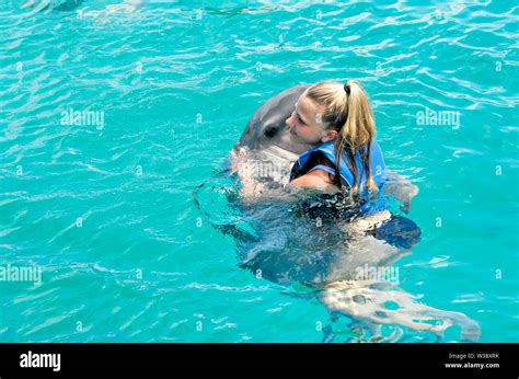 Swimming With The Dolphins At Blue Lagoon Island Near Nassau Bahamas A Shore Excursion From