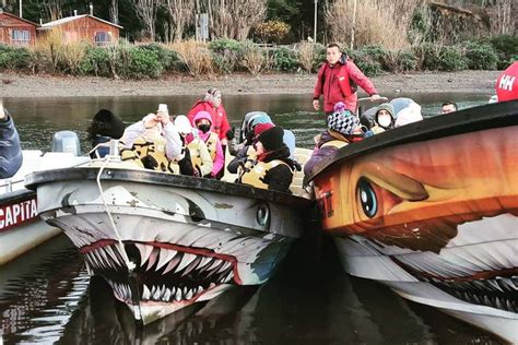 Barco por las cavernas de mármol de Puerto Sánchez y Puerto Tranquilo