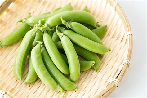 Names Of Japanese Vegetables Edamame Santen Design