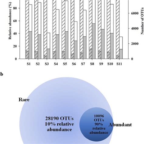 A Distribution Number And Relative Abundance Of Rare And Abundant