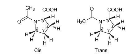 Cis And Trans Isomers Of N Acetyl L Proline