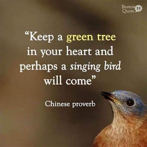 Keep A Green Tree In Your Heart And Perhaps A Singing Bird Will Come