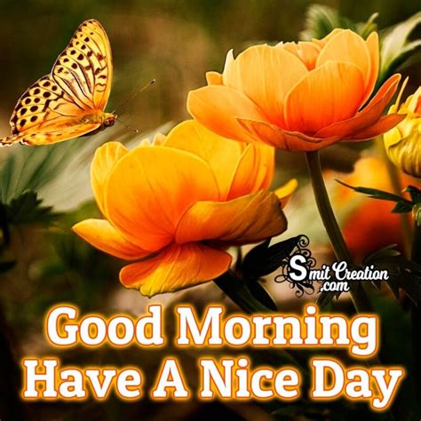 Collection Of Over Stunning Good Morning Images With Flowers In