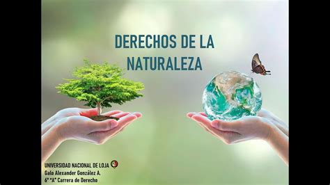 DERECHOS DE LA NATURALEZA YouTube