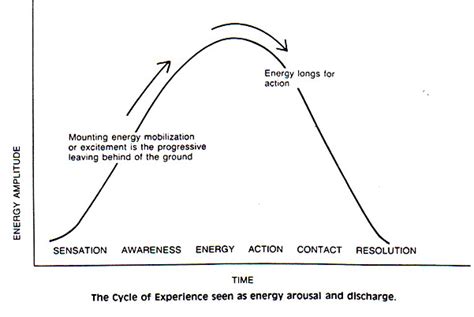 Lazyfreedom Experience Gestalt Cycle