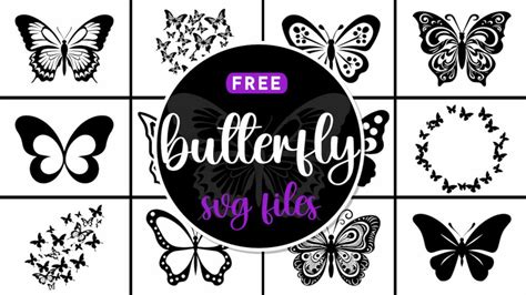 135 Free Butterfly Svg Files World Of Printables