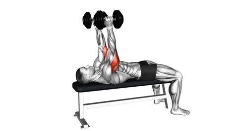 Dumbbell Lying Triceps Extension Video Guide Tips