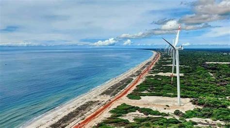 Mannar Wind Power Cea To Decide Post Public Consultation