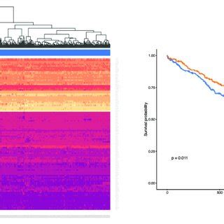 Unsupervised Clustering And Survival Analysis For Lung Squamous Cell