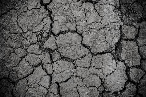 Fotos Gratis Naturaleza Suelo Textura Rido Desierto Est Ril