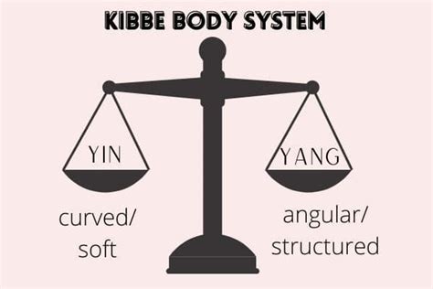 The 13 kibbe body types with examples – Artofit