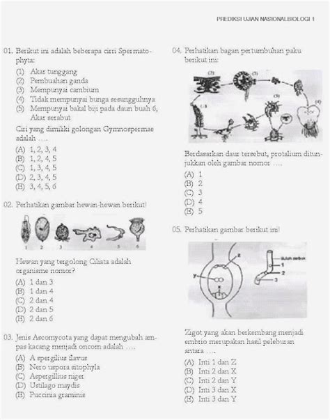 Biologi Gonzaga Try Un Biologi Cool 1