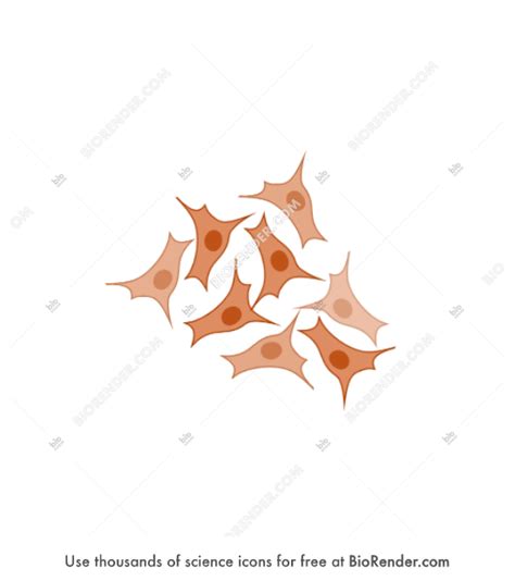 cells icons symbols images biorender