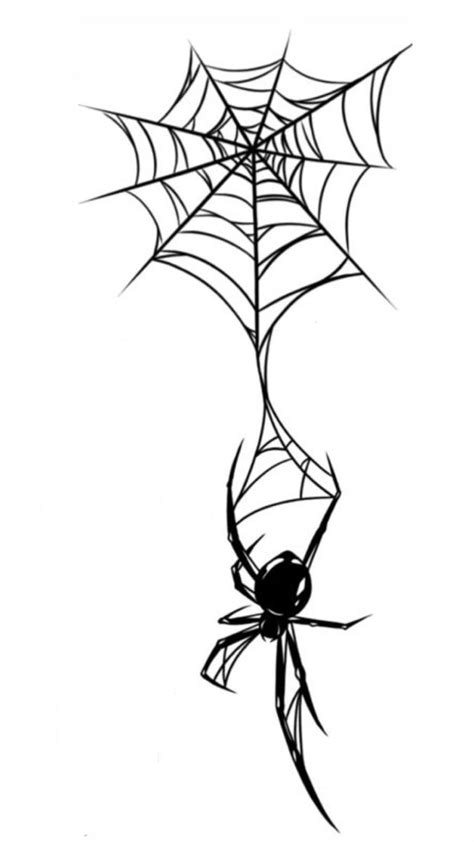 Spider Web Decoration Pattern Spider Drawing Web Drawing Spider Sketch
