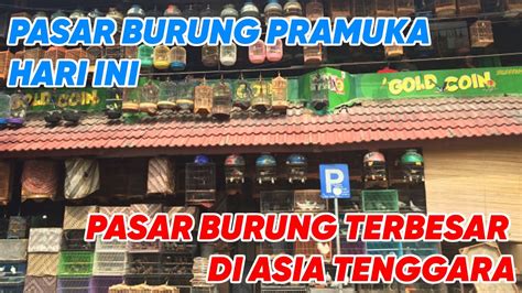 Pasar Burung Pramuka Hari Ini November Youtube