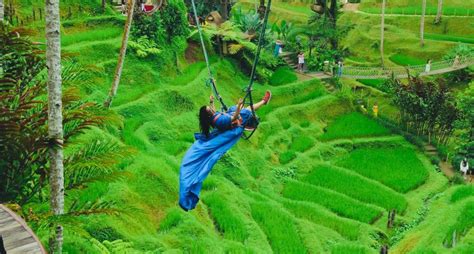 Ubud Ma Pi Las Wodospad Taras Ry Owy I Wycieczka Do Wi Tyni