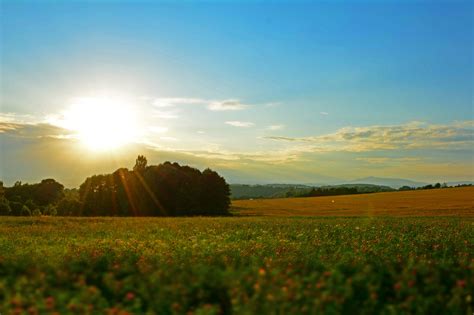 Meadow At Sunset | Copyright-free photo (by M. Vorel) | LibreShot