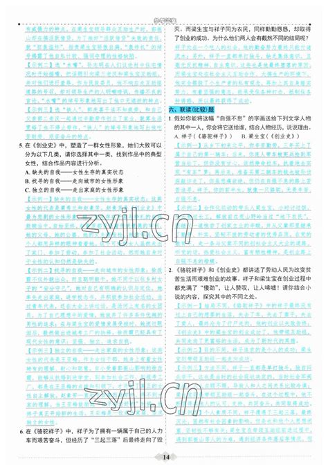 2023年初中达标学案名著解读一点通七年级下册人教版答案——青夏教育精英家教网——