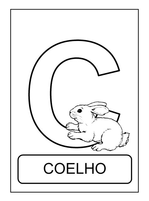 Alfabeto Com Animais Letras Do Alfabeto C Educação E Transformação