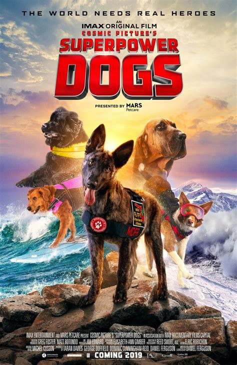 Super Chiens 3d Ce Sont De Véritables Superhéros