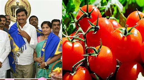 Tomato Crorepati THIS 10th Fail Farmer Hits Jackpot Becomes Crorepati